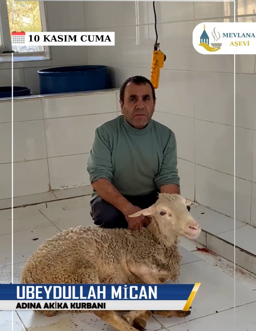 akika kurbanı